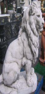 animal