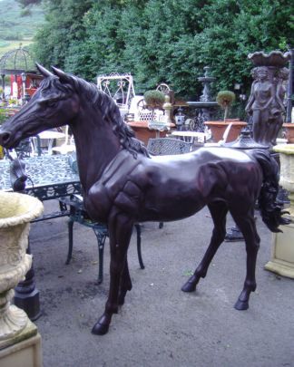 animal